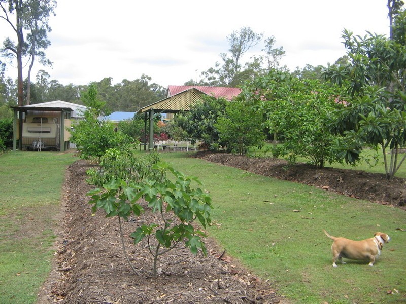Delaneys Creek QLD 4514