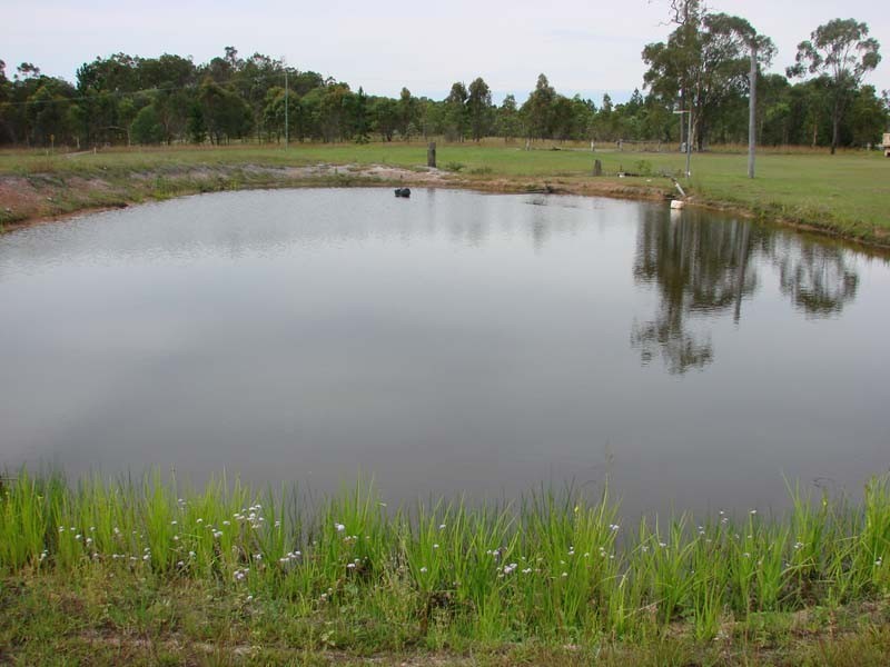 Wamuran QLD 4512