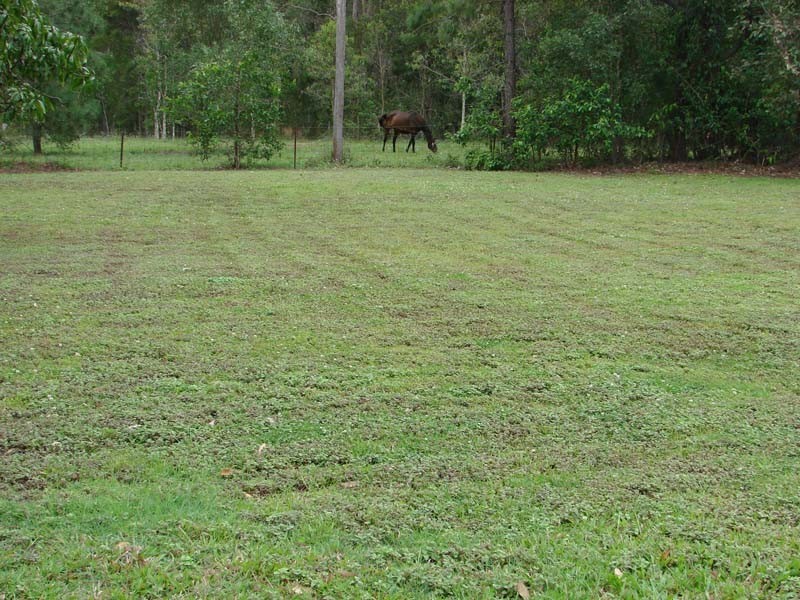 D’aguilar QLD 4514