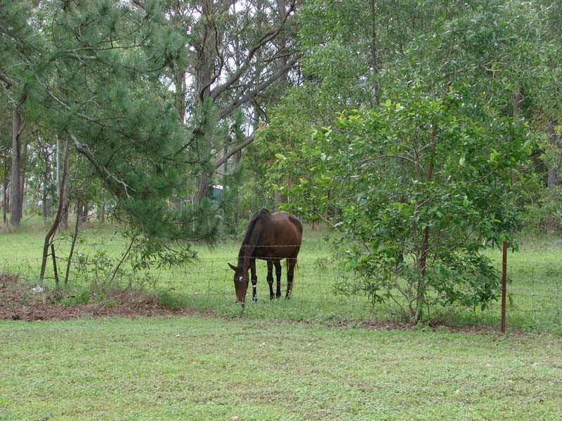 D’aguilar QLD 4514