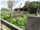 Stanmore QLD 4514