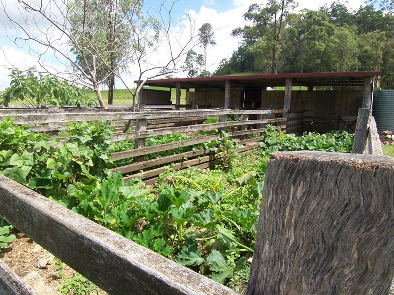 Stanmore QLD 4514