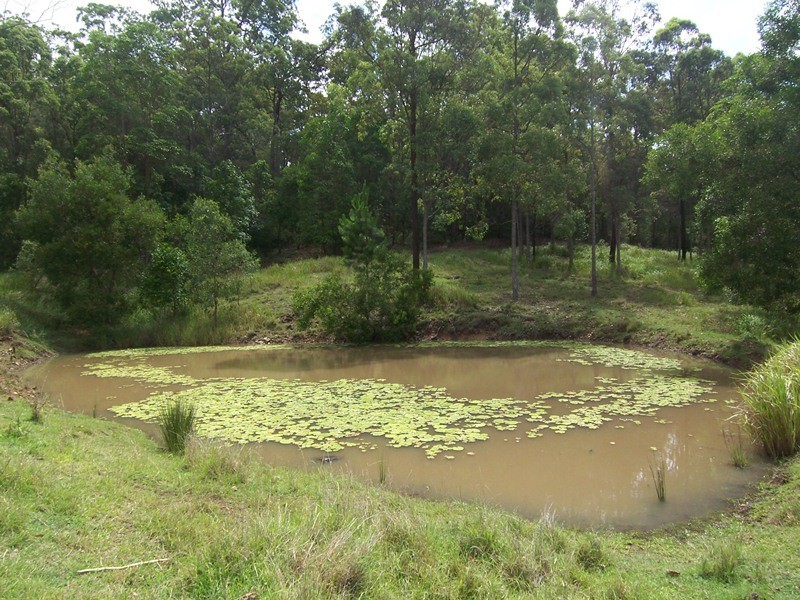 Stanmore QLD 4514