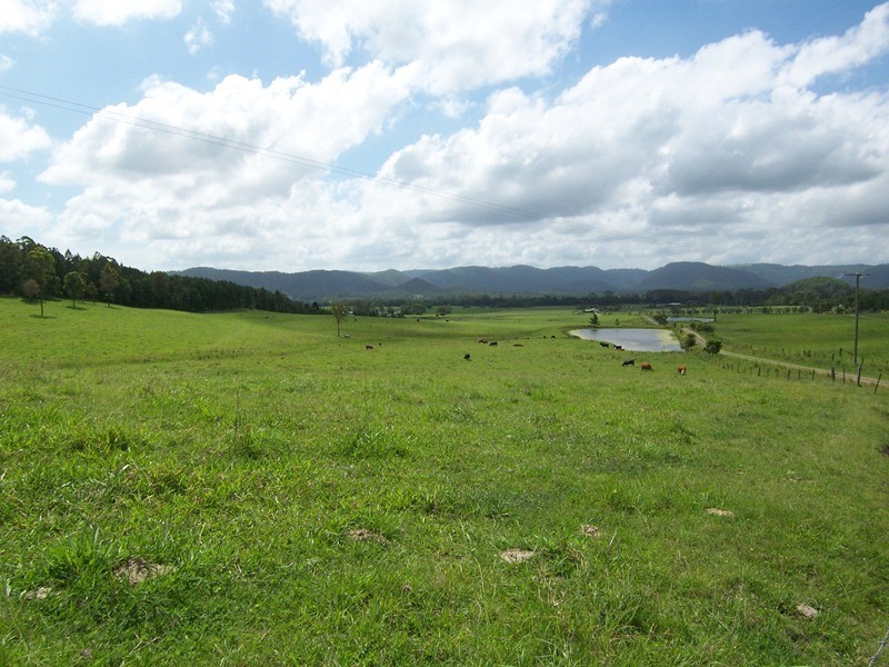 Stanmore QLD 4514