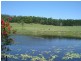 Stanmore QLD 4514