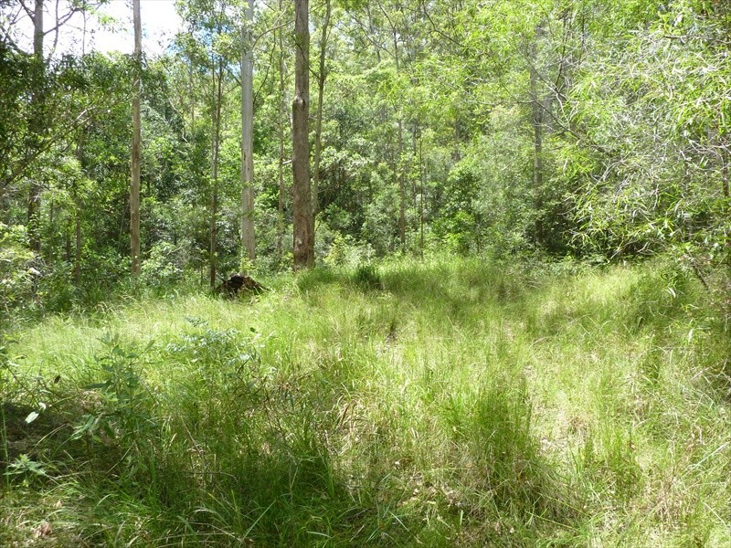 Wamuran QLD 4512