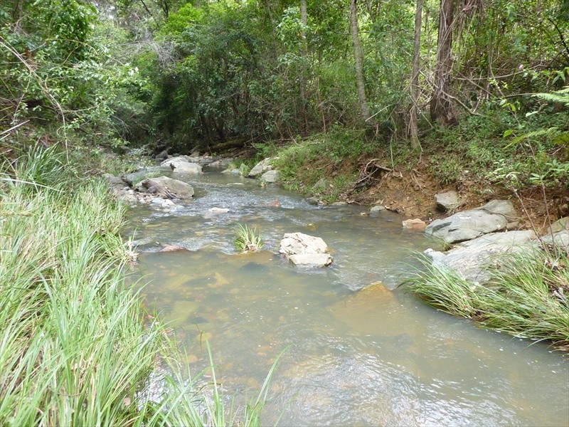 Wamuran QLD 4512