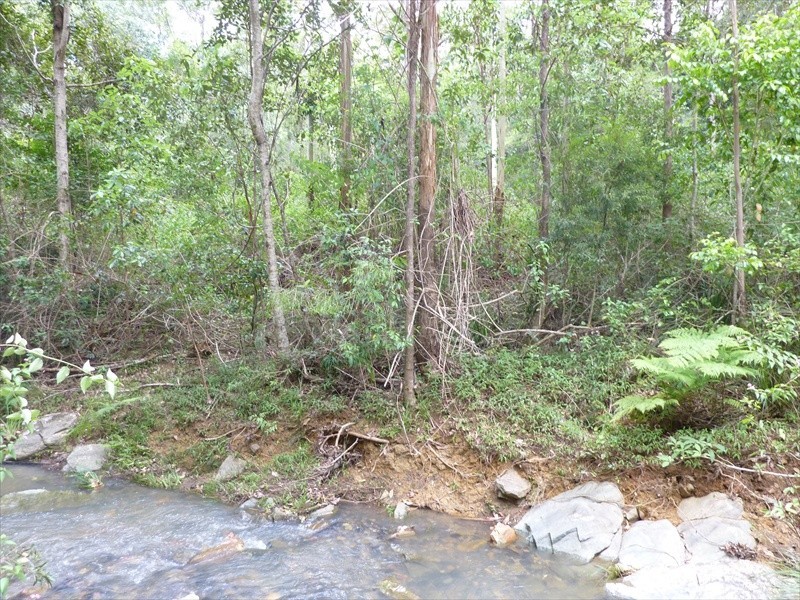Wamuran QLD 4512