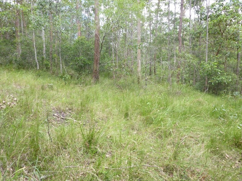 Wamuran QLD 4512