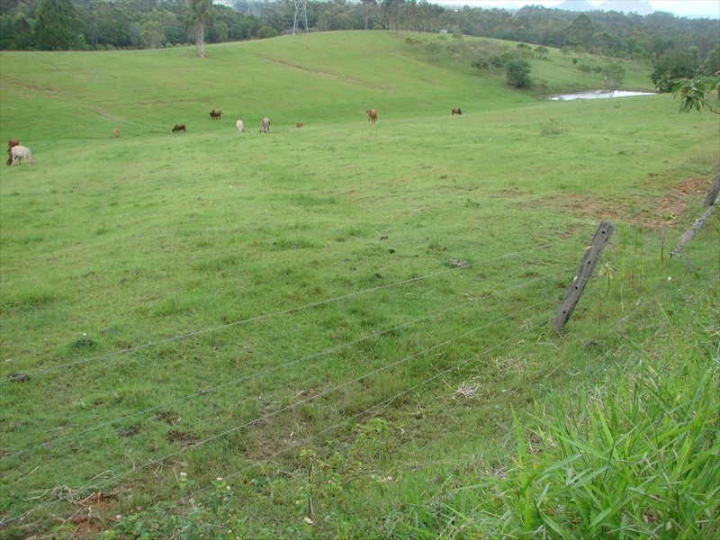 96-146 R WILLIAMS ROAD, Wamuran QLD 4512