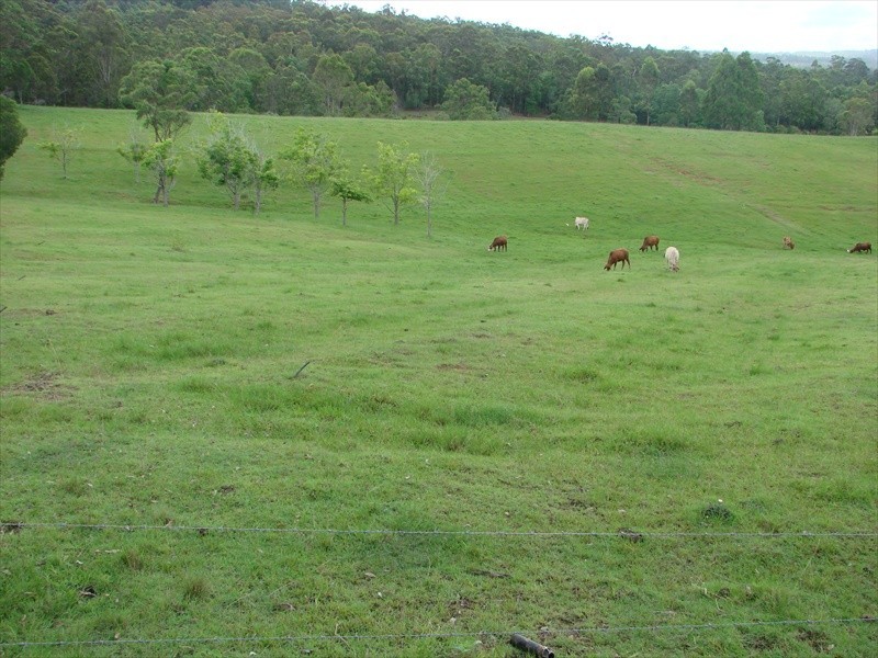 96-146 R WILLIAMS ROAD, Wamuran QLD 4512