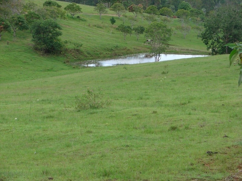 96-146 R WILLIAMS ROAD, Wamuran QLD 4512