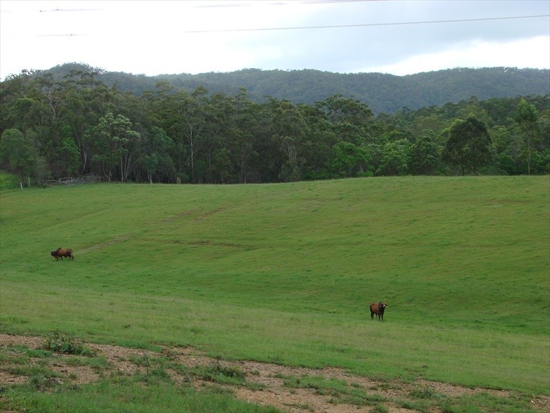 96-146 R WILLIAMS ROAD, Wamuran QLD 4512