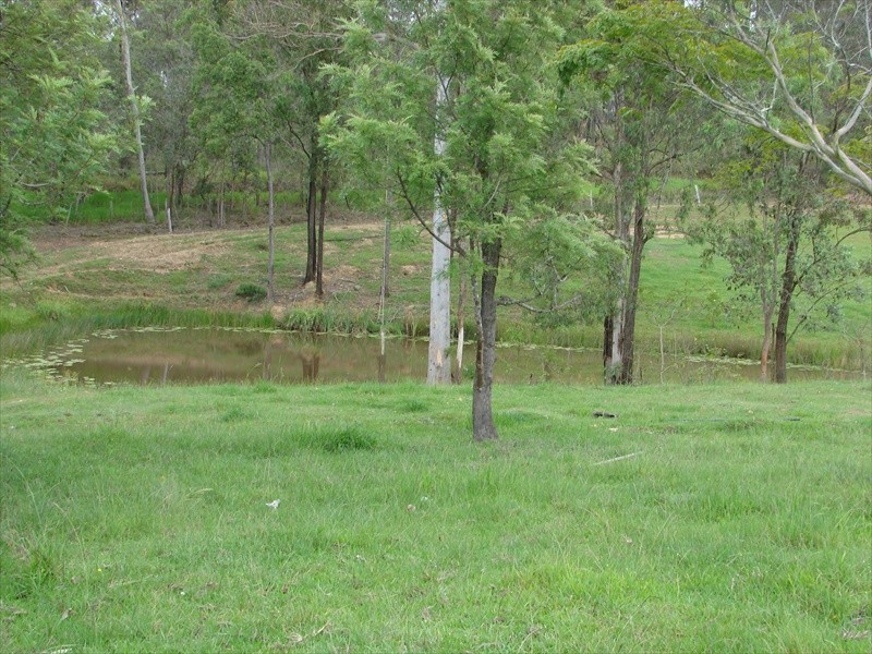 96-146 R WILLIAMS ROAD, Wamuran QLD 4512
