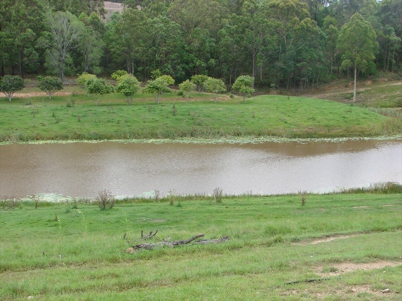 96-146 R WILLIAMS ROAD, Wamuran QLD 4512