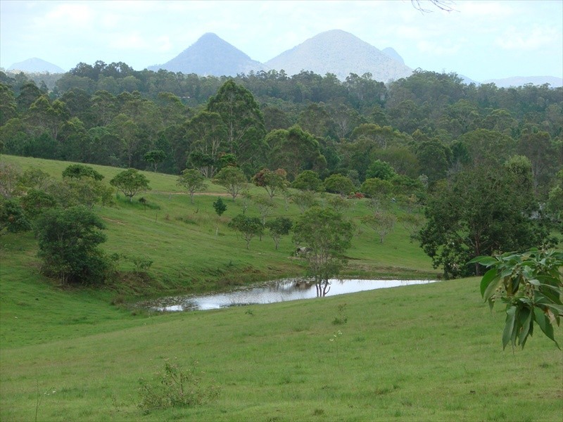 96-146 R WILLIAMS ROAD, Wamuran QLD 4512