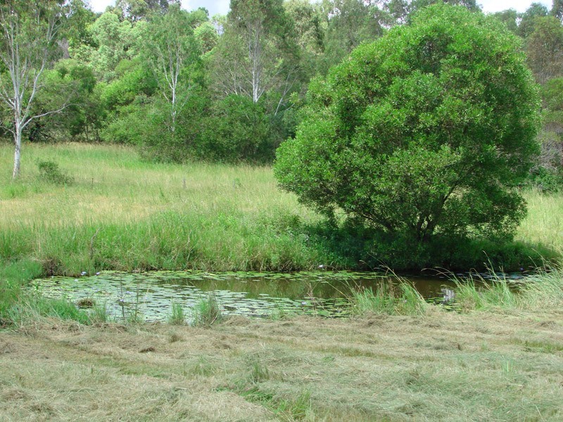 Delaneys Creek QLD 4514