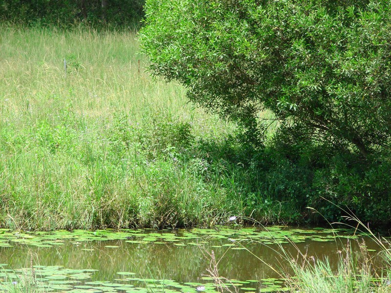 Delaneys Creek QLD 4514