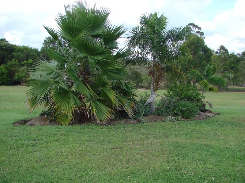 D’aguilar QLD 4514