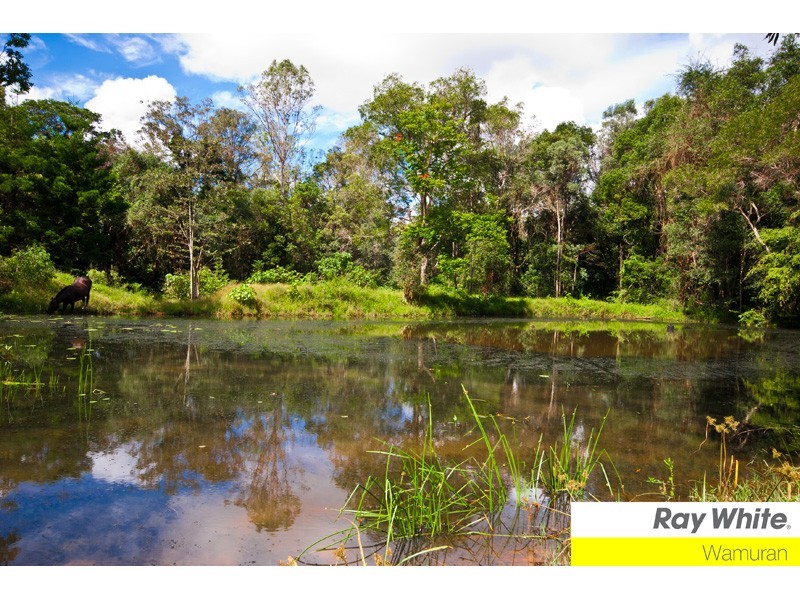 Wamuran QLD 4512
