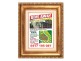 205 Raaen Road, D’aguilar QLD 4514
