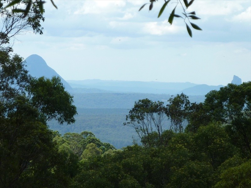 Lot 1, 165 Pedwell Rd, Mount Mee QLD 4521