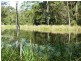 Lot 1, 165 Pedwell Rd, Mount Mee QLD 4521