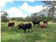 153 Windsor St, Woodford QLD 4514