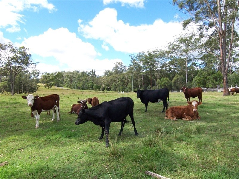 153 Windsor St, Woodford QLD 4514