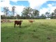 153 Windsor St, Woodford QLD 4514