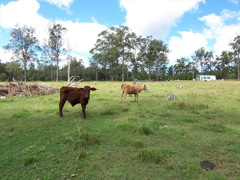153 Windsor St, Woodford QLD 4514
