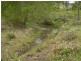 Woodford QLD 4514