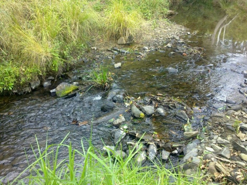 L 3,4,6,7,8 Mervyn Cavanagh Court, Delaneys Creek QLD 4514