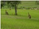 Moorina QLD 4506