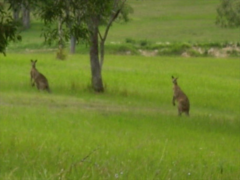 Moorina QLD 4506
