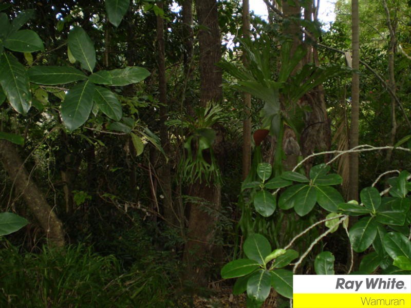 10 Douglas Drive, Caboolture QLD 4510