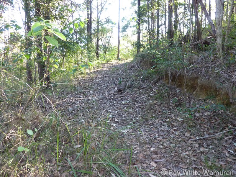 Wamuran QLD 4512