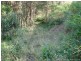 Wamuran QLD 4512