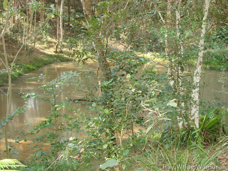 Wamuran QLD 4512