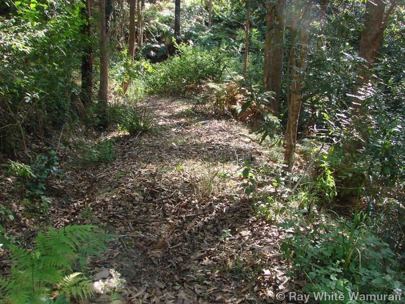 Wamuran QLD 4512