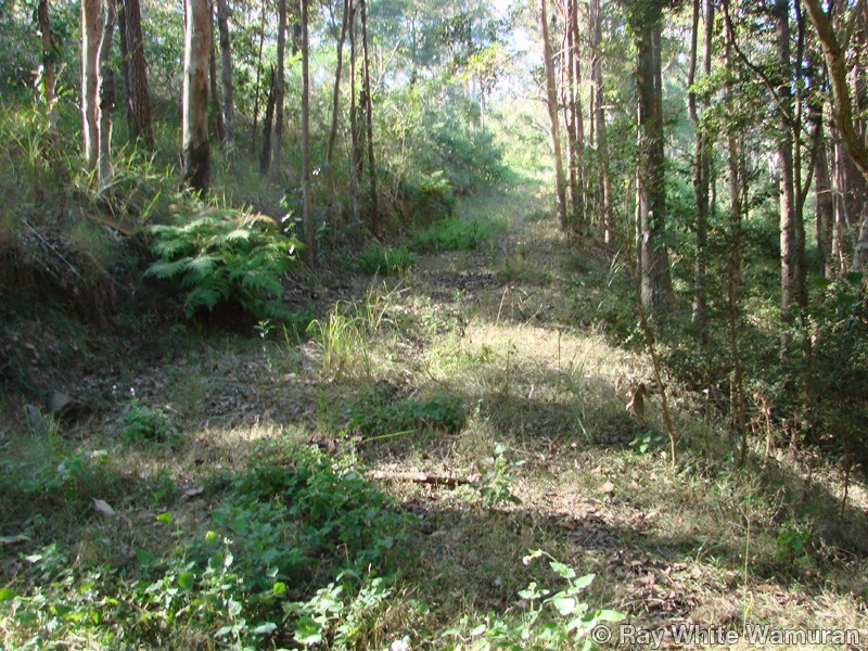 Wamuran QLD 4512