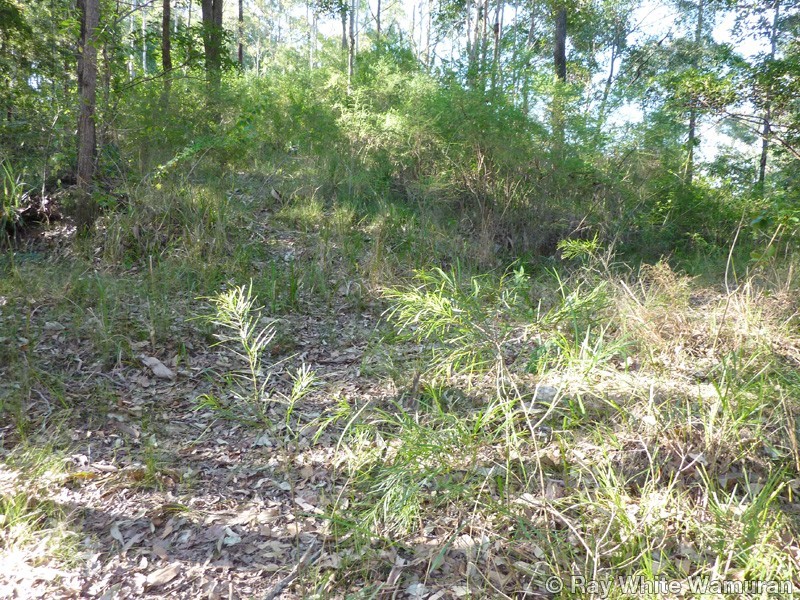 Wamuran QLD 4512