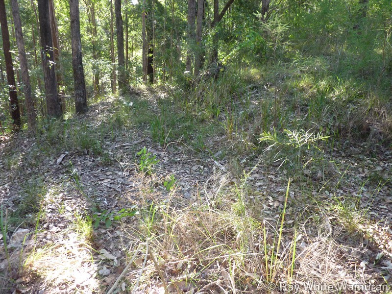 Wamuran QLD 4512