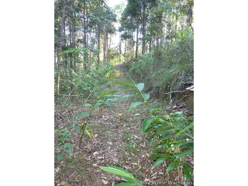 Wamuran QLD 4512