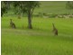 Caboolture QLD 4510