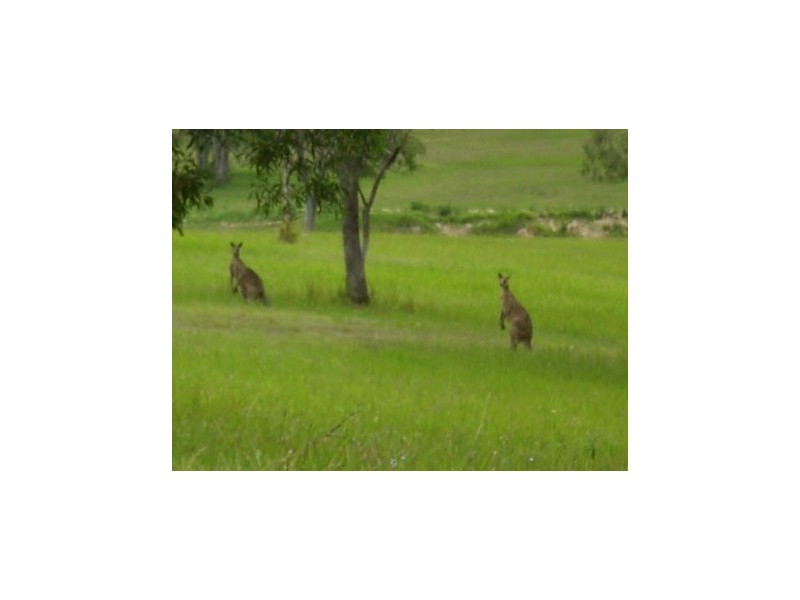 Caboolture QLD 4510