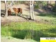 Wamuran QLD 4512