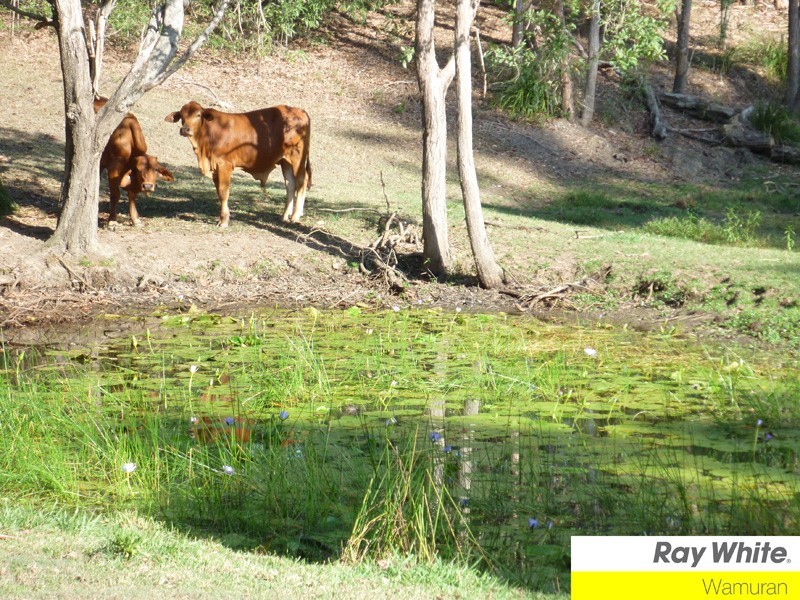 Wamuran QLD 4512