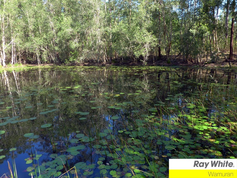 Wamuran QLD 4512