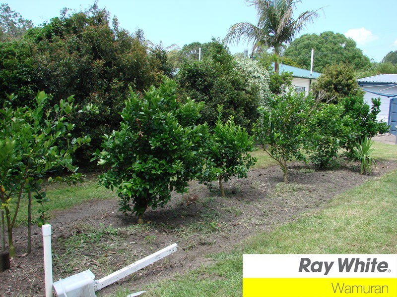 6 Hendy Street, Woodford QLD 4514